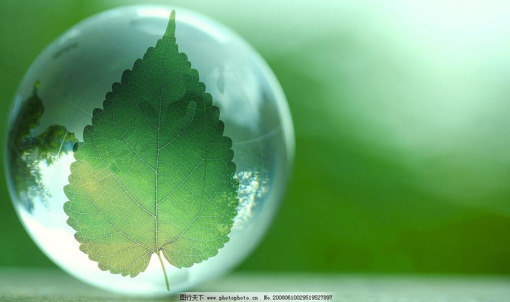 绿色生命图片,树叶 大水滴 绿色版面 广告设计版面-